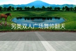 另类双人广场舞帅翻天