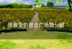 情歌里的思念广场舞分解