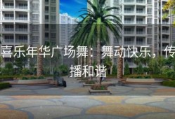 喜乐年华广场舞：舞动快乐，传播和谐