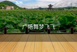 广场舞梦飞飞