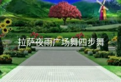 拉萨夜雨广场舞四步舞