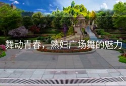 舞动青春，熟妇广场舞的魅力