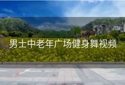 男士中老年广场健身舞视频