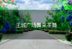 王城广场舞采茶舞