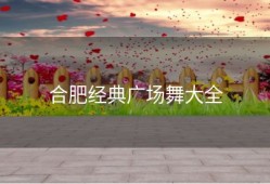 合肥经典广场舞大全