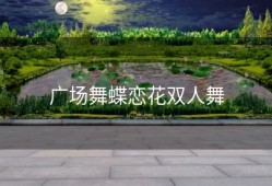 广场舞蝶恋花双人舞