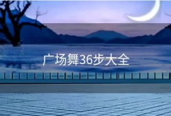 广场舞36步大全