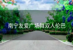 南宁友爱广场舞双人伦巴