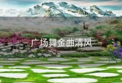 广场舞金曲清风