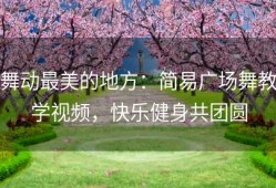 舞动最美的地方：简易广场舞教学视频，快乐健身共团圆