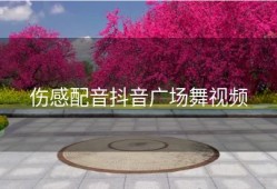 伤感配音抖音广场舞视频