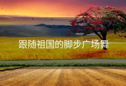 跟随祖国的脚步广场舞