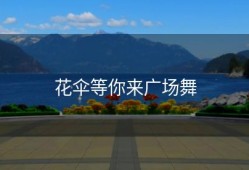 花伞等你来广场舞