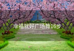 幸福就好广场舞16步