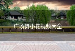 广场舞小花视频大全