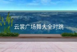 云裳广场舞大全对跳