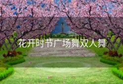 花开时节广场舞双人舞