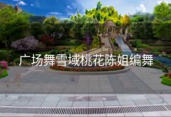 广场舞雪域桃花陈姐编舞