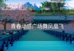 青春动感广场舞凤凰飞