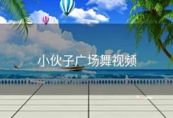 小伙子广场舞视频