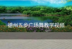 德州五步广场舞教学视频