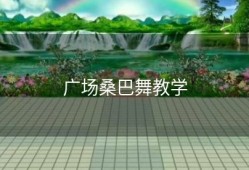 广场桑巴舞教学