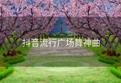 抖音流行广场舞神曲