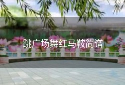 跳广场舞红马鞍简谱