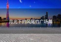 月光下的风尾竹广场舞