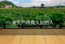 美久广场舞久别的人