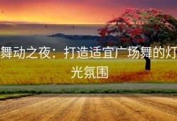 舞动之夜：打造适宜广场舞的灯光氛围
