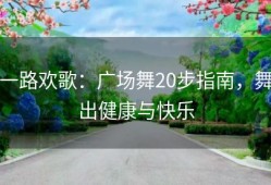 一路欢歌：广场舞20步指南，舞出健康与快乐
