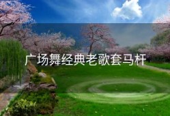 广场舞经典老歌套马杆