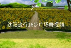 沈阳流行16步广场舞视频