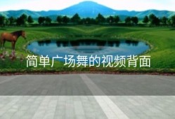 简单广场舞的视频背面