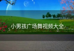 小男孩广场舞视频大全