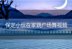 保定小伙在家跳广场舞视频