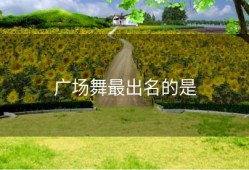 广场舞最出名的是