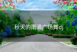 秋天的雨滴广场舞dj