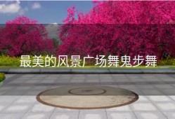 最美的风景广场舞鬼步舞
