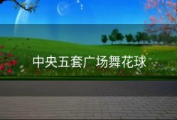 中央五套广场舞花球