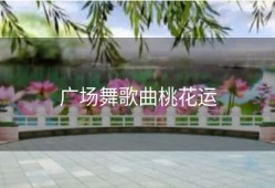 广场舞歌曲桃花运