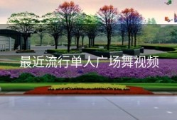 最近流行单人广场舞视频