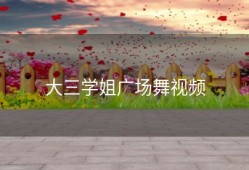 大三学姐广场舞视频