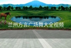 兰州方言广场舞大全视频