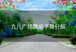 九儿广场舞扇子舞分解