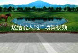 送给爱人的广场舞视频