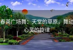 春英广场舞：天堂的草原，舞动心灵的旋律