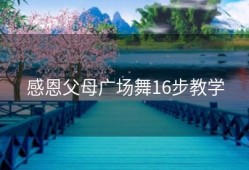 感恩父母广场舞16步教学