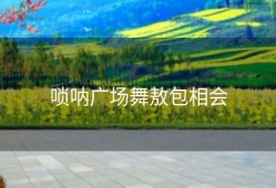 唢呐广场舞敖包相会